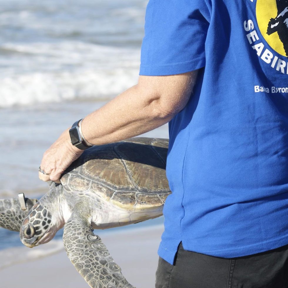 2023: Australian Seabird & Turtle Rescue