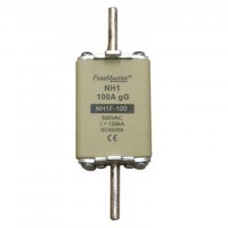 NT1 HRC Fuse Link - 100 Amp