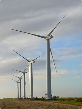 What about a Green Future