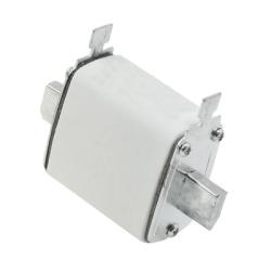 NT00 HRC Fuse Link - 100 Amp